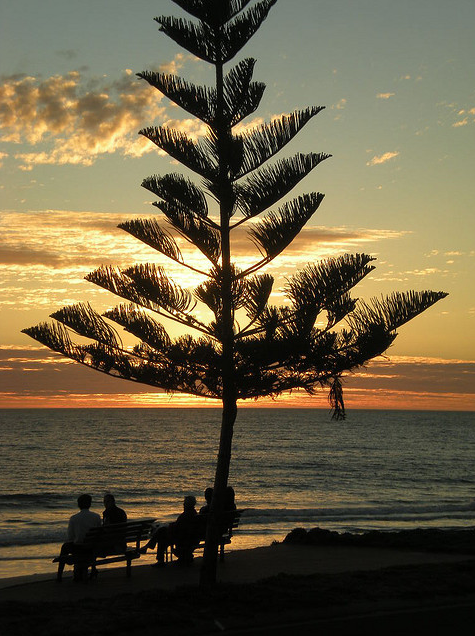 Classic Adelaide Sunset View by Mike Coghlan