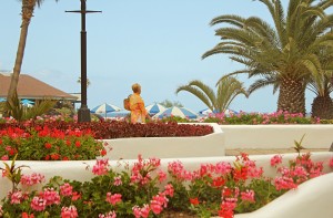 Flower Beds by the Beach by Mate Marschalko 