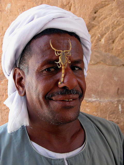 Nubian Stinger, Lake Nasser, Egypt by Dennis Jarvis