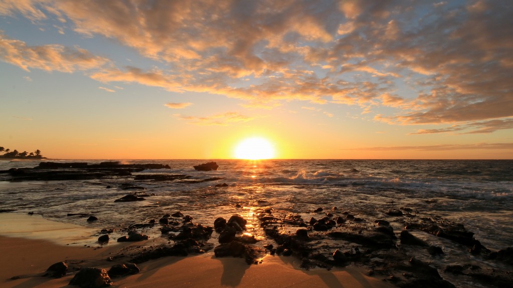 Sandy Beach Park, Kalanianaole Hwy, Honolulu by Robert Linsdell CC BY 2.0