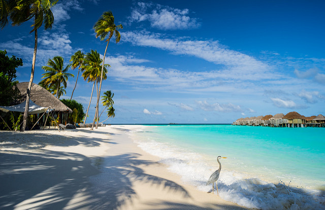 Constance Halaveli Resort, Maldives by Mac Qin CC BY-ND 2.0