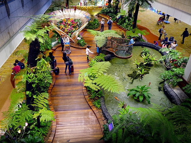 Changi Airport, Singapore by cegoh CC0