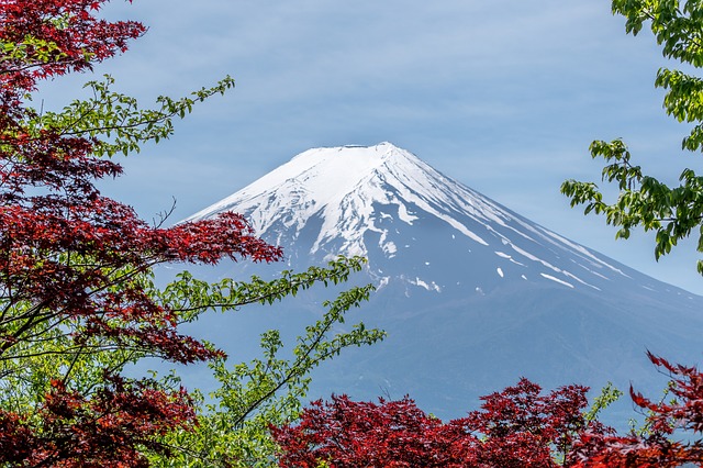 Mount Fuji Travel Image 