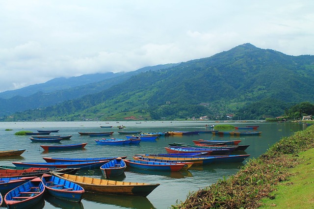 nepal pokhara travel Image