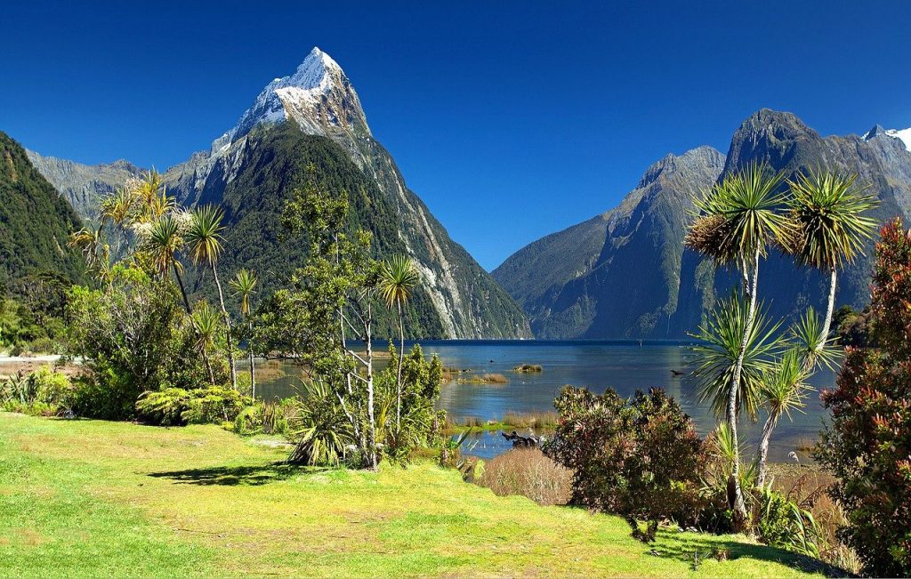 New Zealand Fjords Image