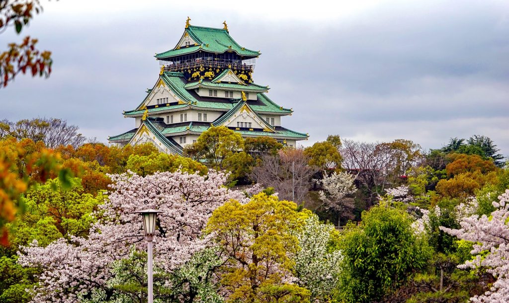 Japanese Cherry Blossom Season Image