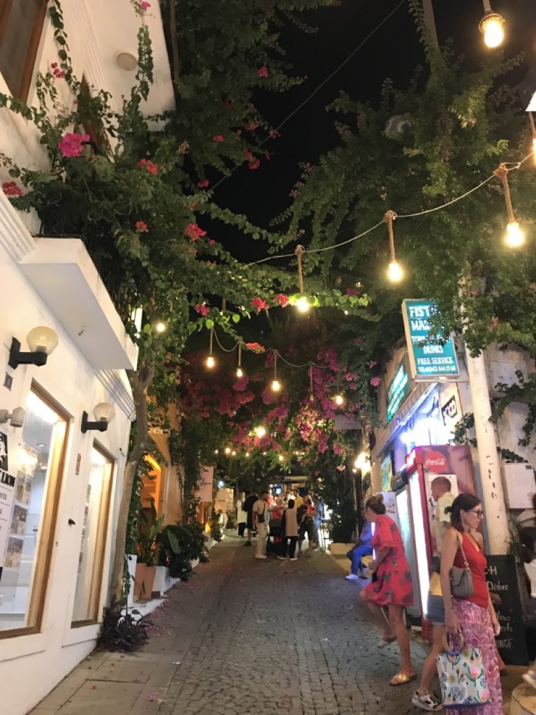 Kalkan street view with plants and lights image