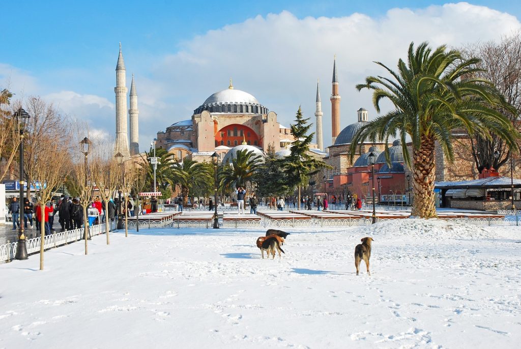 Istanbul mosque in snow Image 