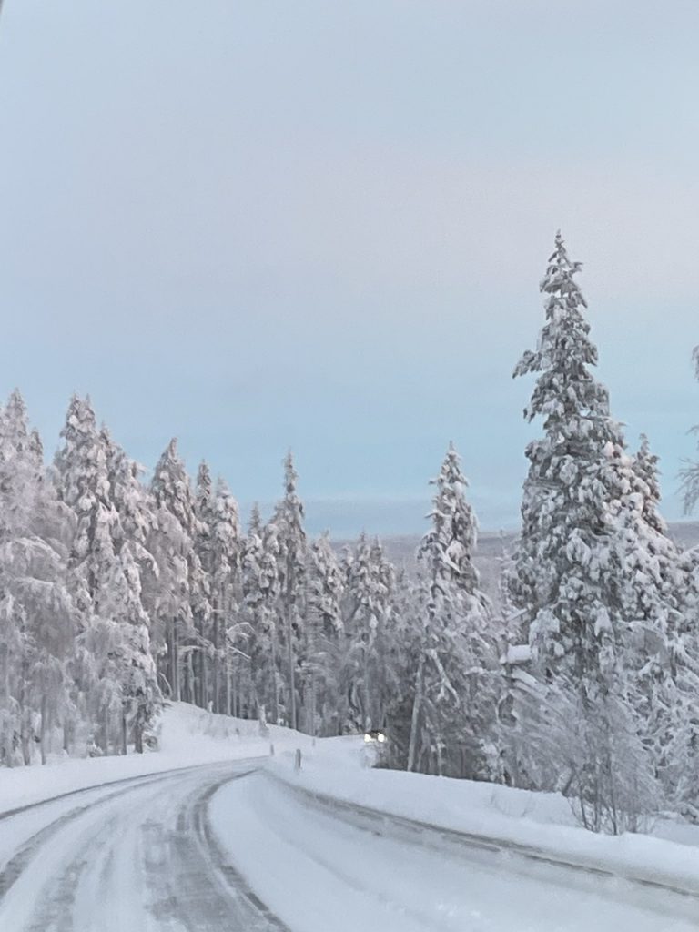 Finland Lapland Snow image