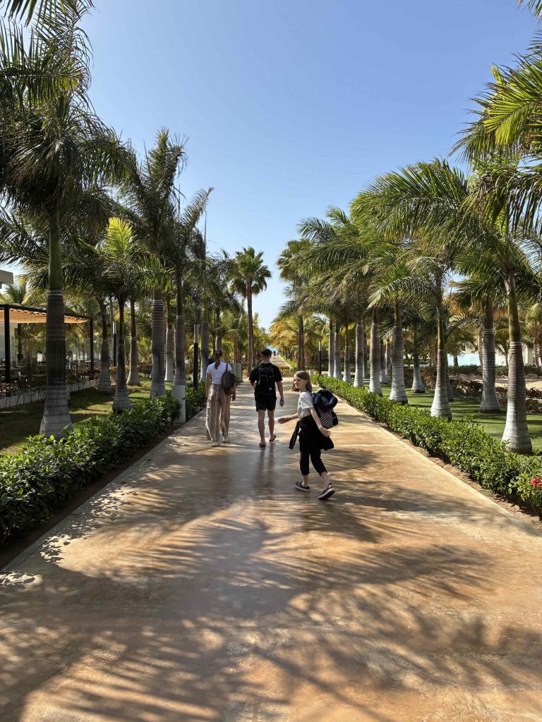 Rui Palace Boa Vista image