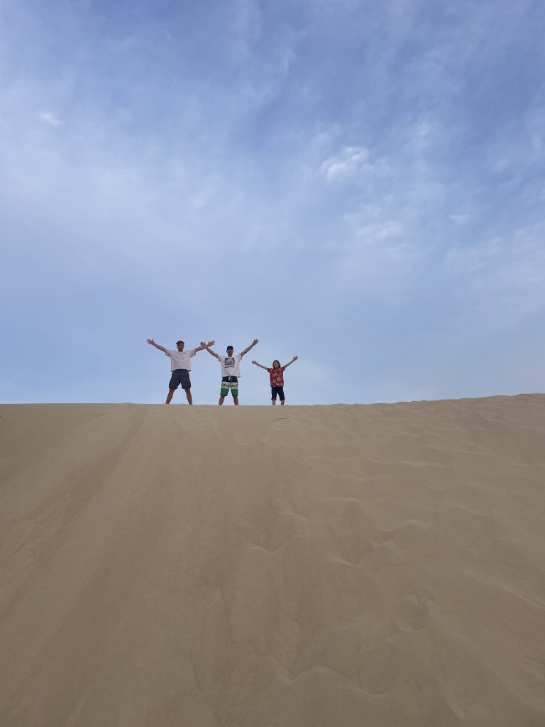 sand dunes boa vista cape verde image